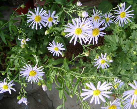 743634612_1c1e0185_7.jpg