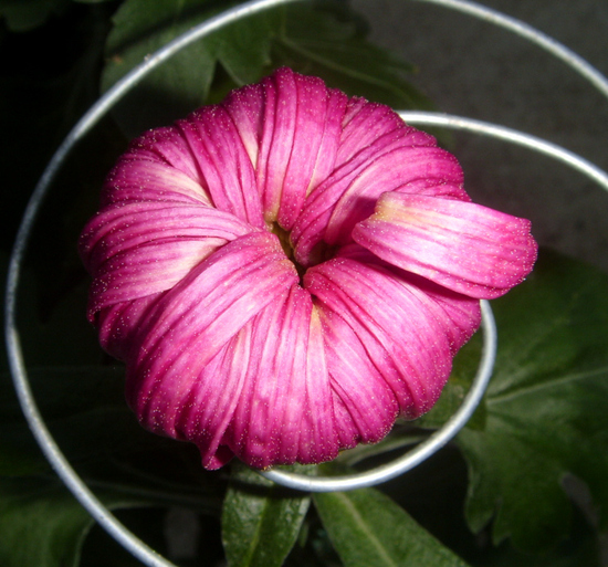 743634612_3d1a4e61_19.jpg