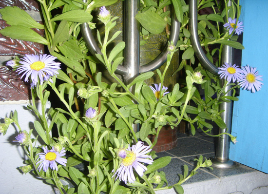 743634612_6c65ed49_9.jpg