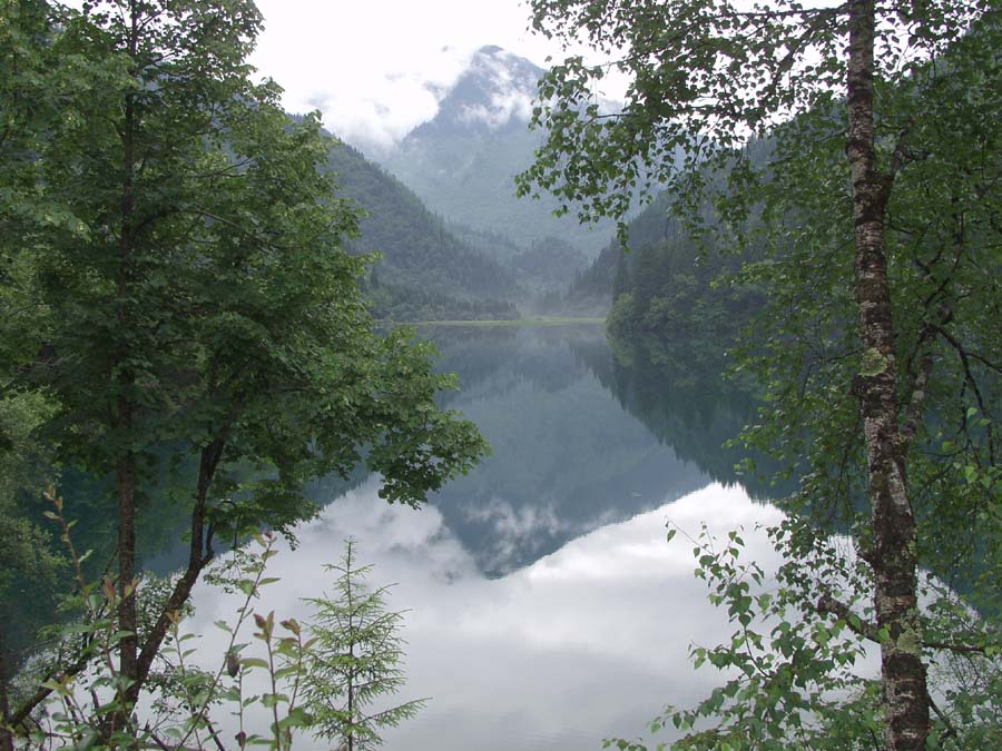 p7124727.jpg