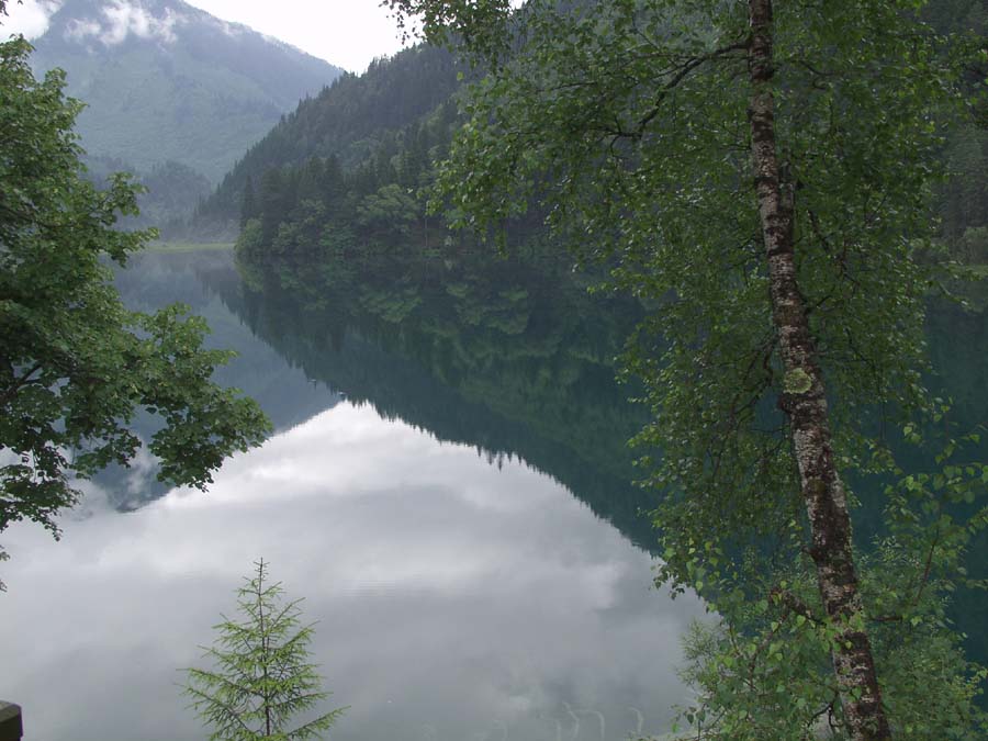 p7124729.jpg