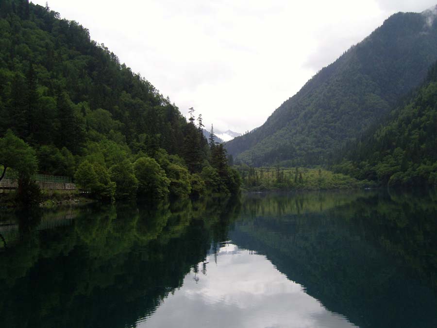 snc11038.jpg