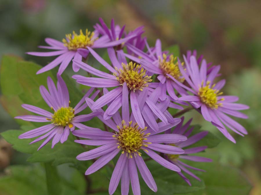 pb145111.jpg