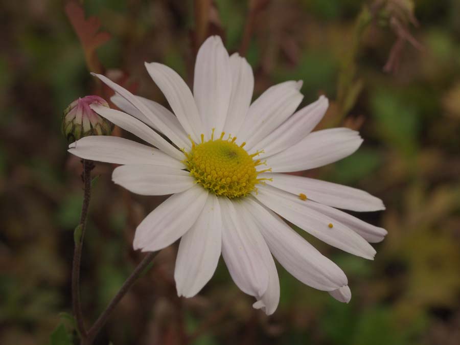 pb145125.jpg