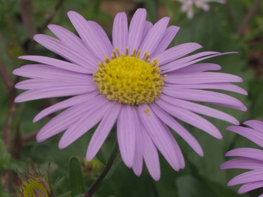 pb145129.jpg