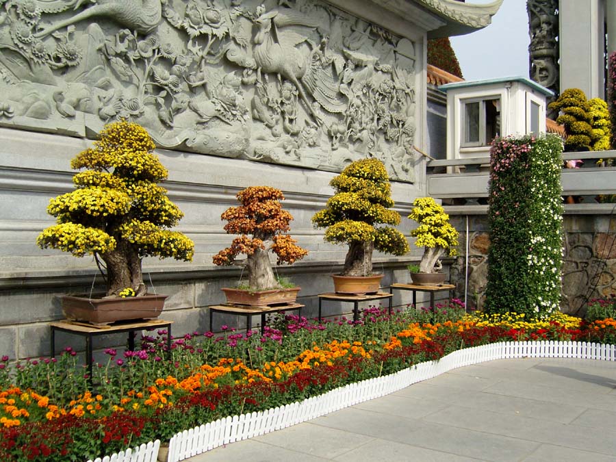 snc12316.jpg