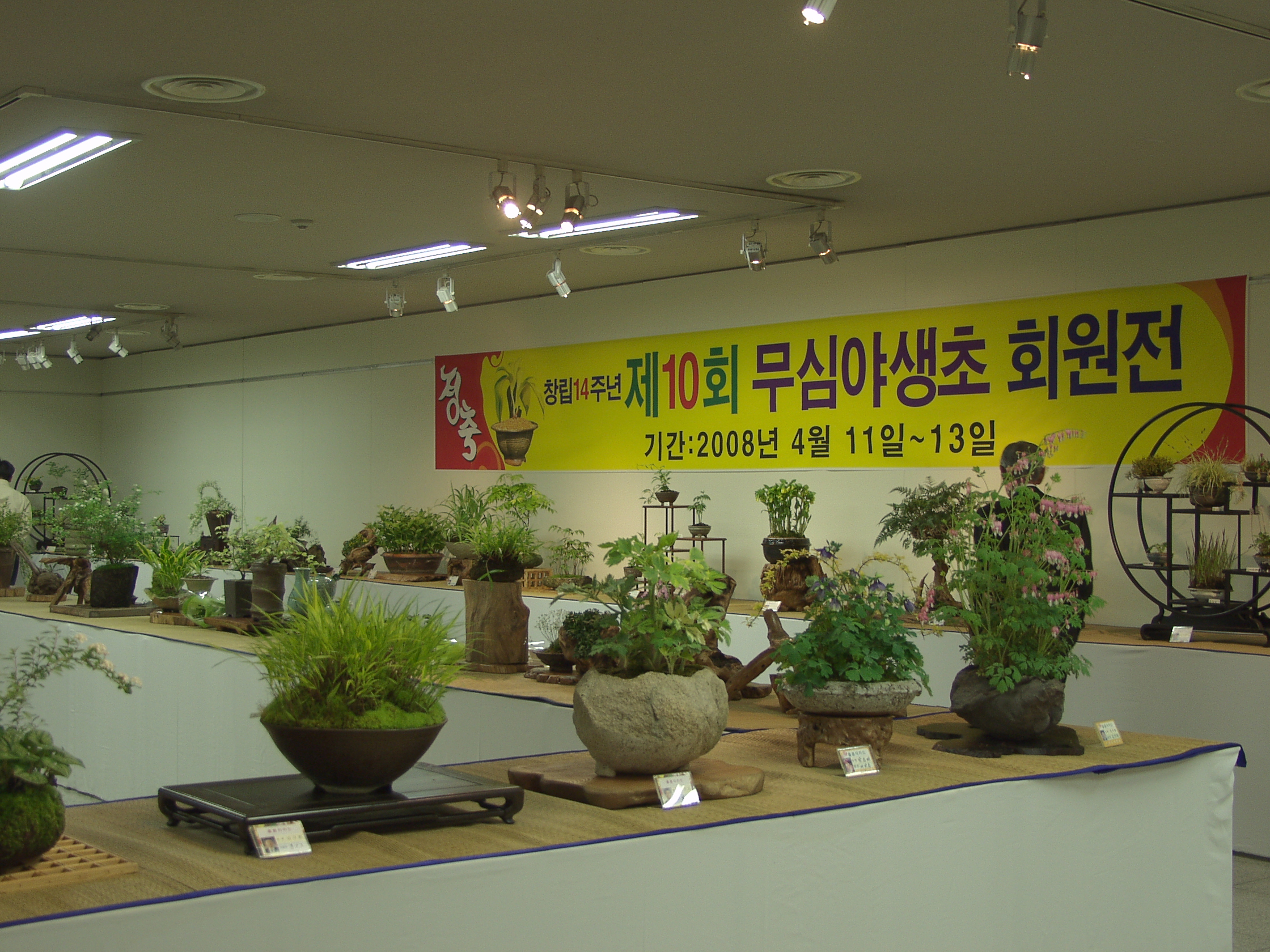 p4135409.jpg