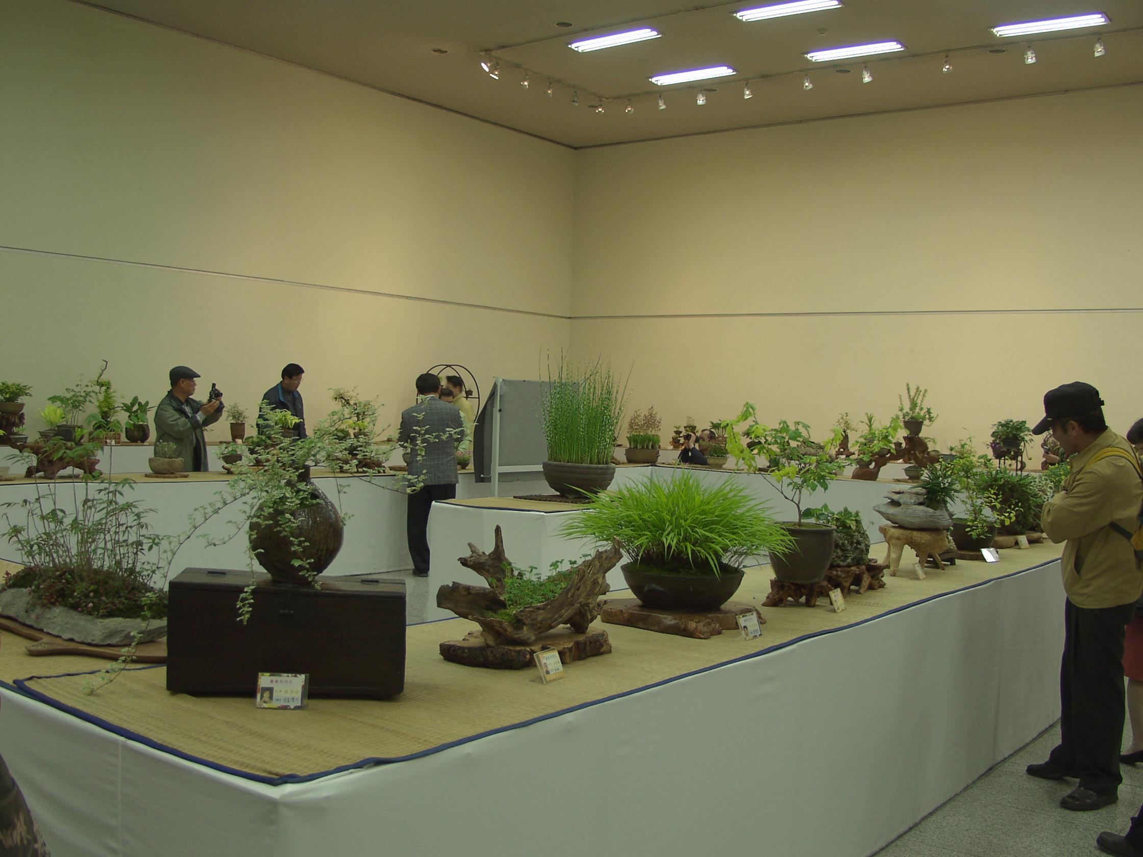 p4135420.jpg