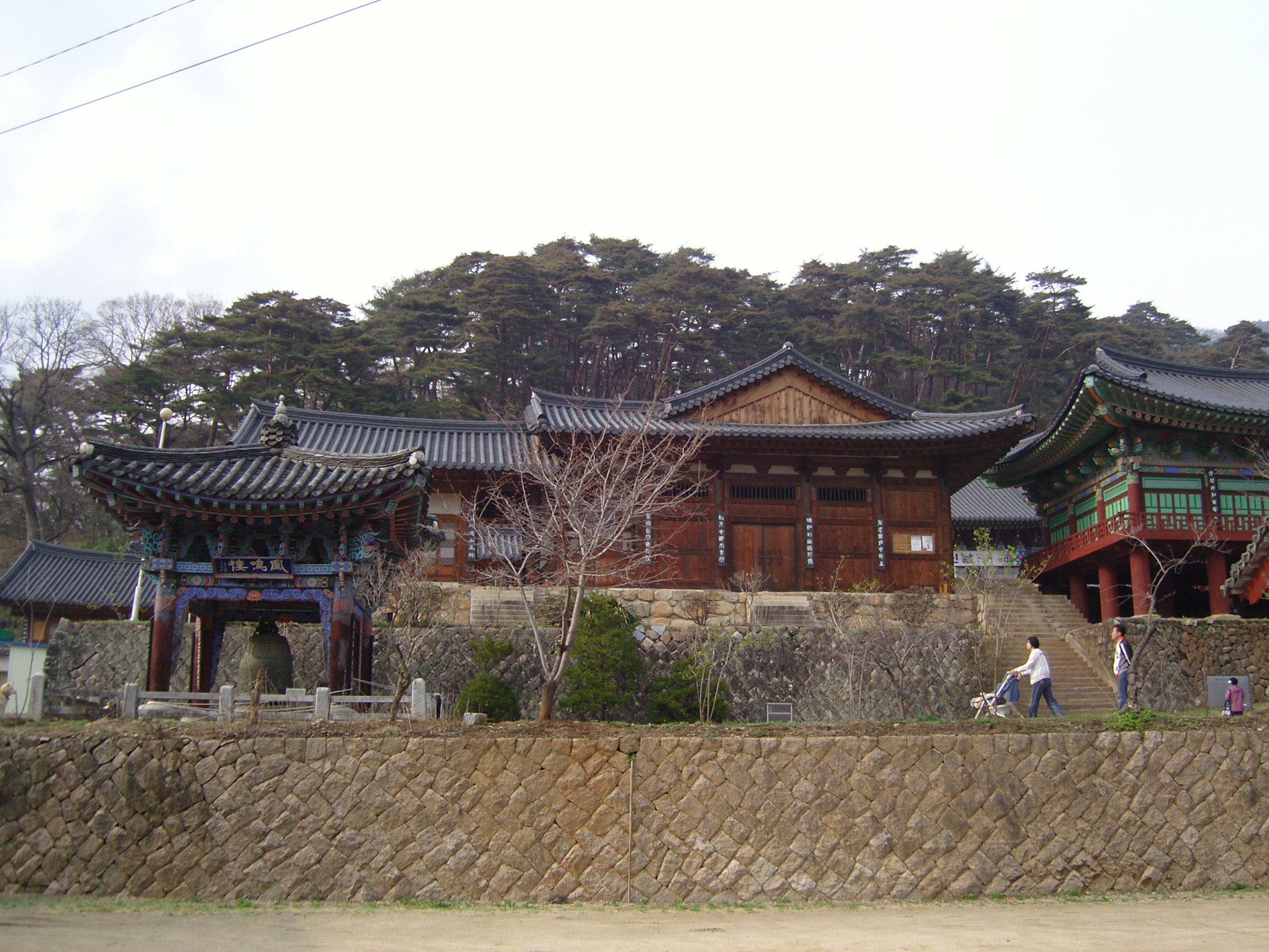 snc12809.jpg