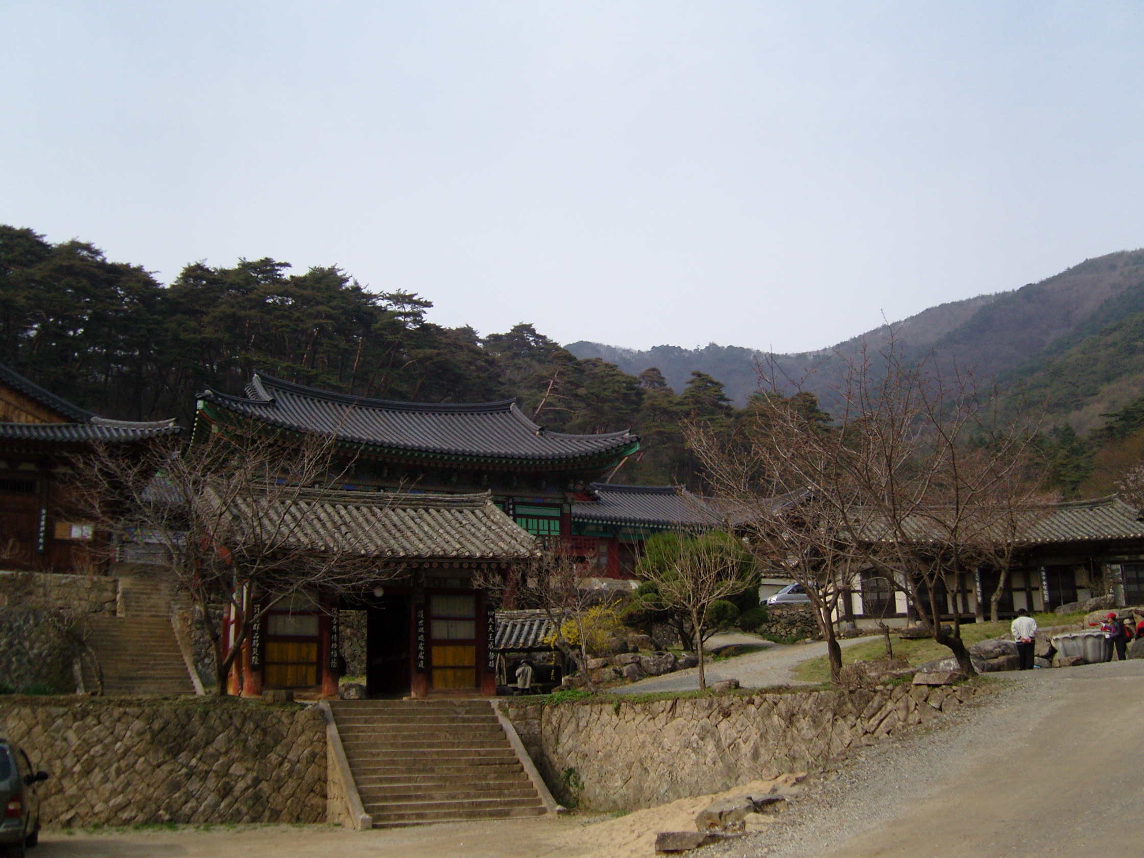 snc12810.jpg