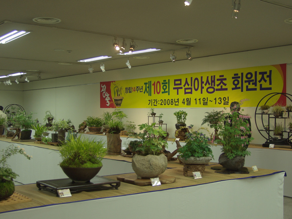 p4135409.jpg