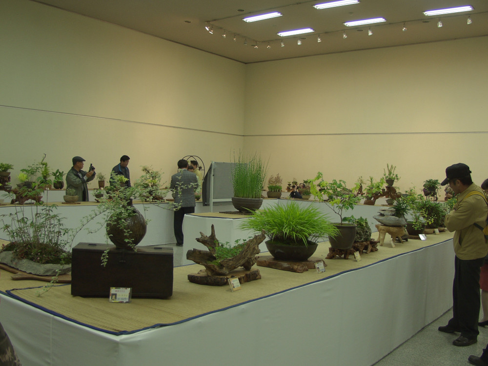 p4135420.jpg