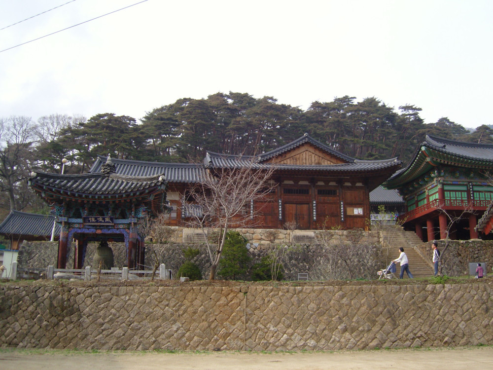 snc12809.jpg