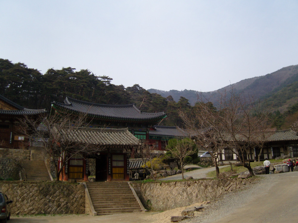 snc12810.jpg