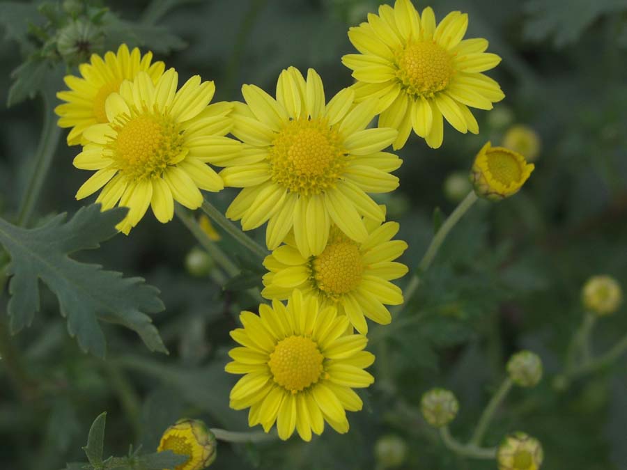 05.10.5.jpg