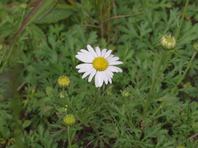 08.8.24.jpg