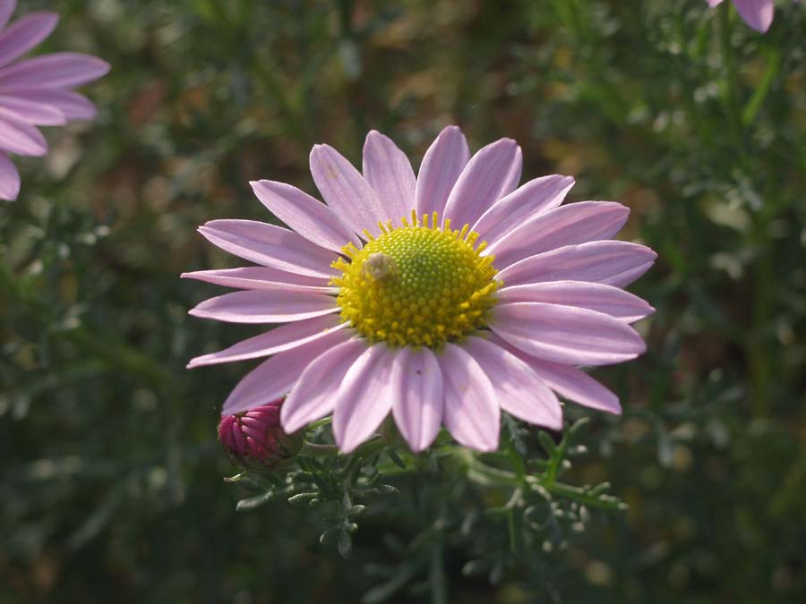 08.10.96.jpg