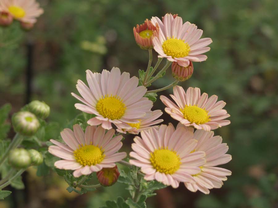 0805h51501.jpg