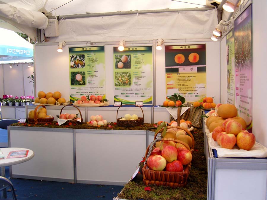 snc13555_copy.jpg