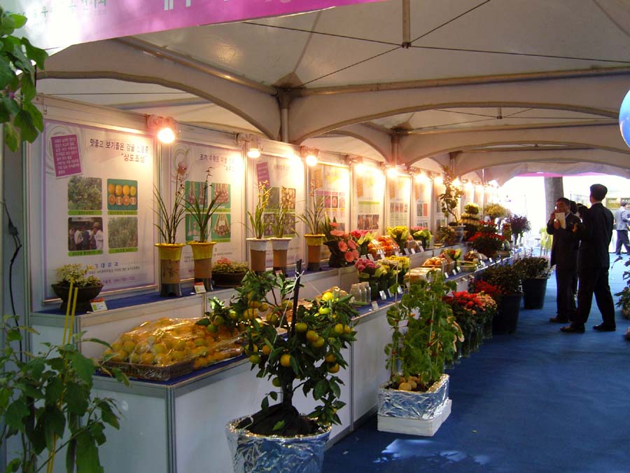 snc13560_copy.jpg