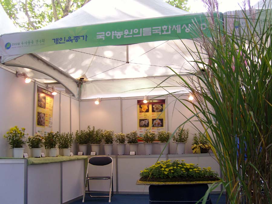 snc13569_copy.jpg