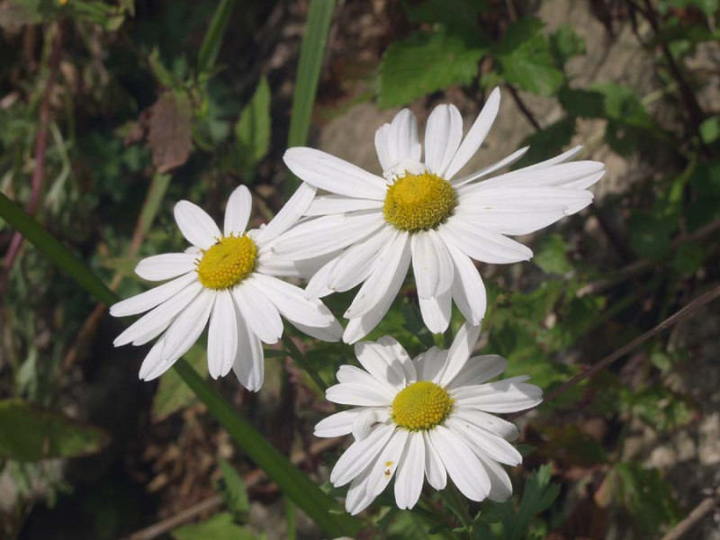 08.9.913.jpg