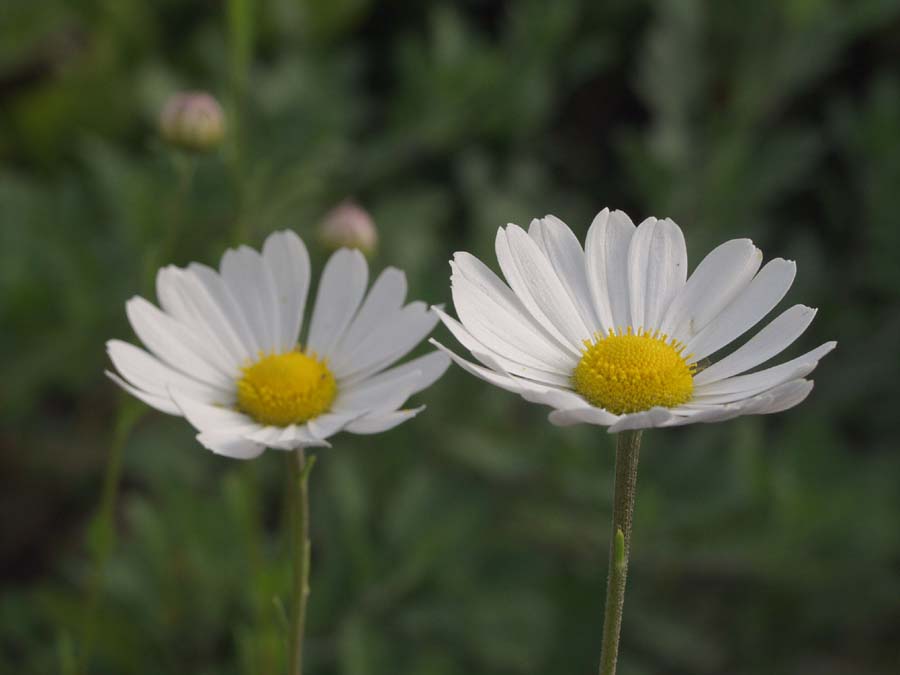 y708.10.4.jpg