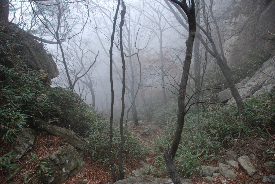 dsc_0261.jpg