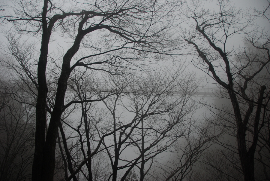 dsc_0263.jpg