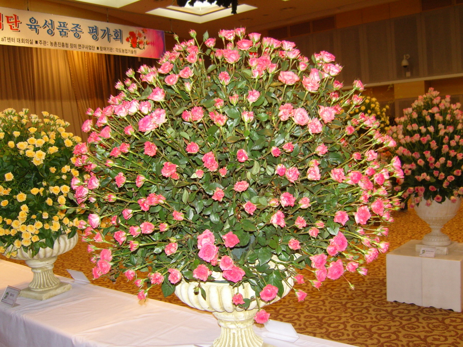 snc14153.jpg