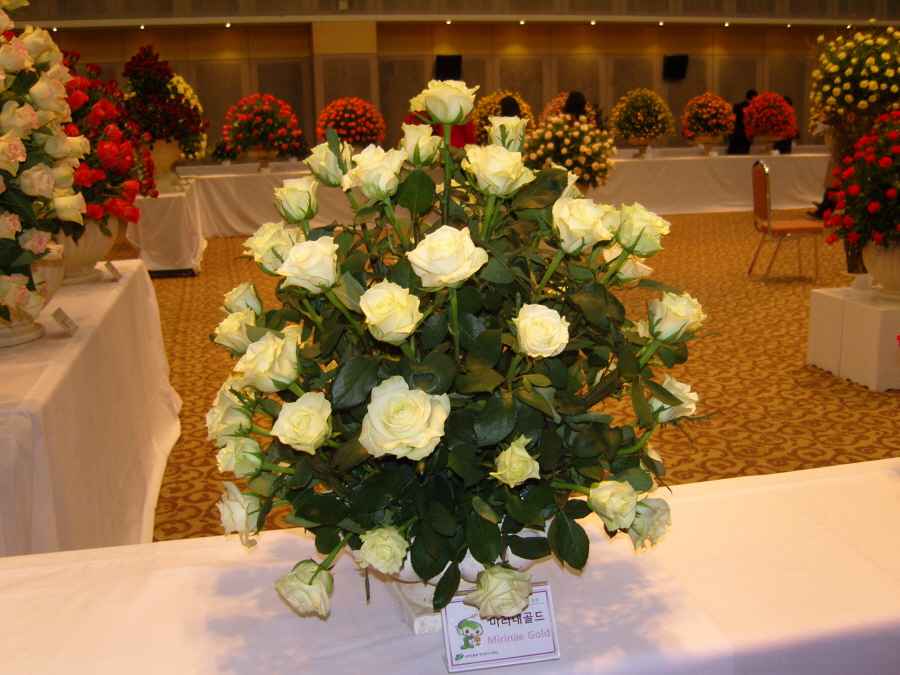 snc14158.jpg