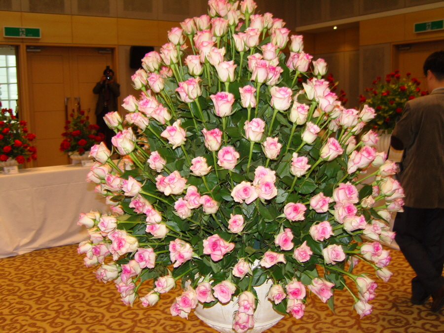 snc14168.jpg
