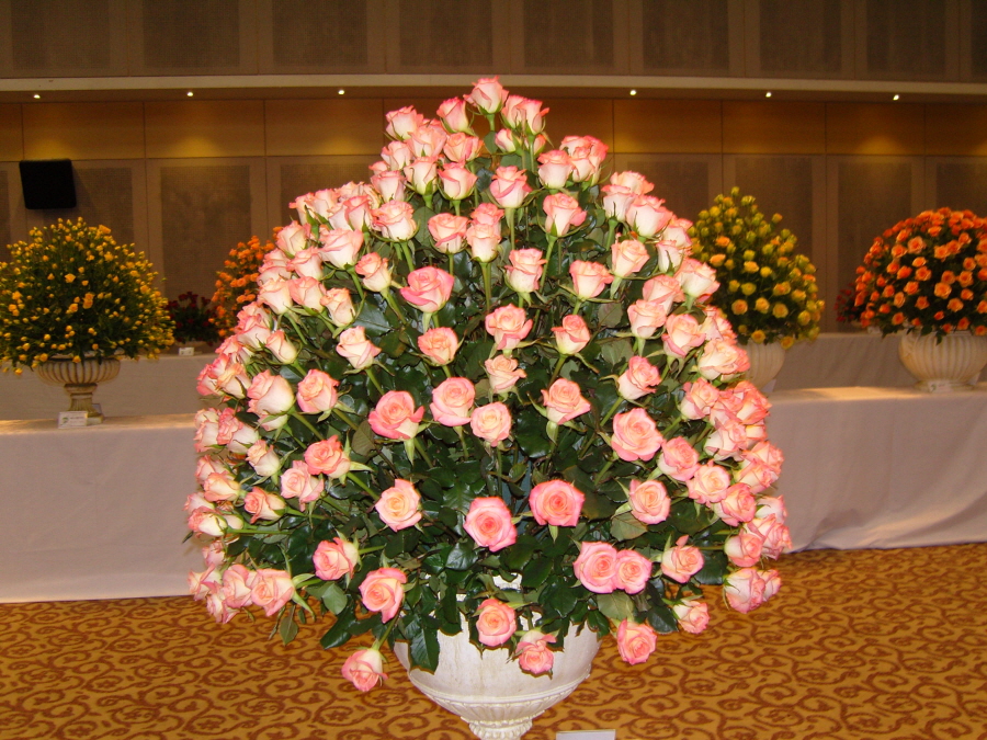 snc14170.jpg