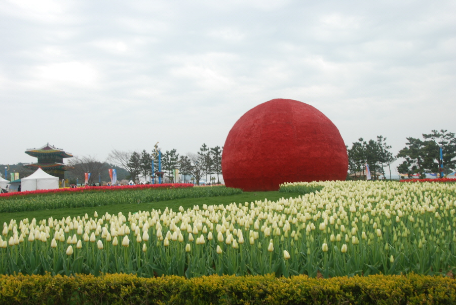 dsc_0571_copy.jpg