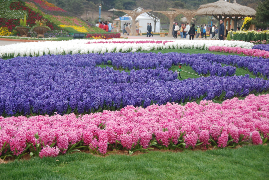 dsc_0621_copy.jpg