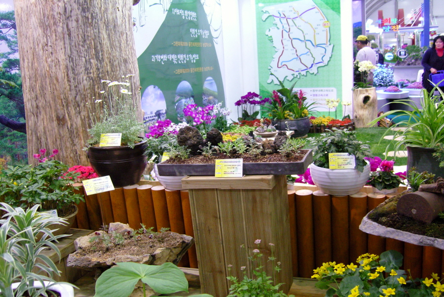 snc14266_copy.jpg