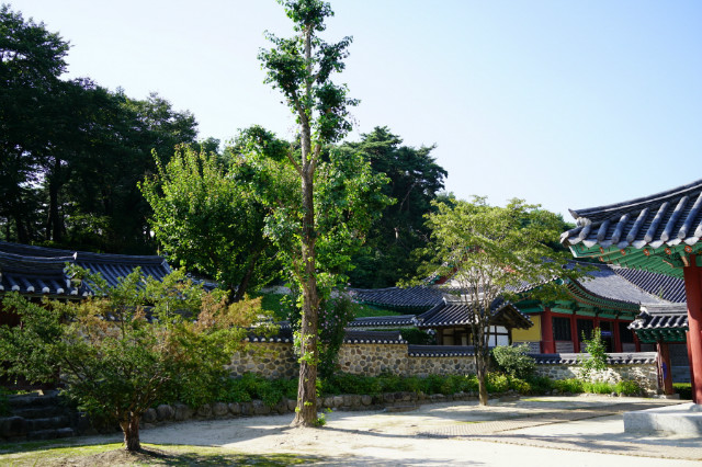 소수서원DSC01110.JPG